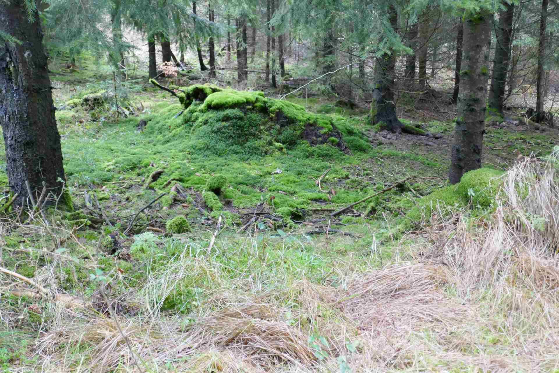 01 Januar - rund um den Wöllerstein